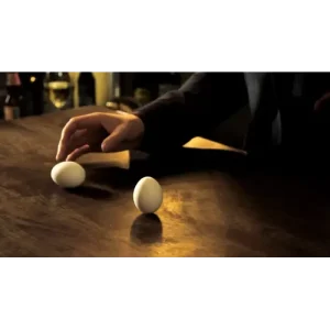 Balancing Egg by Paul Wilson