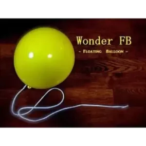 Balloon by Wonder Floating