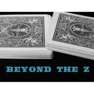 Beyond The Z by Steve Reynolds