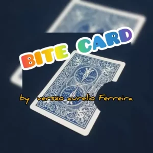 Bit Card by Versao Aurelio Ferreira