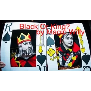 Black Or King? by Magic Willy