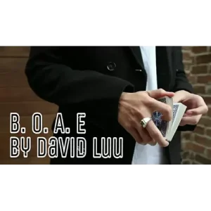 Blink Of An Eye by David Luu