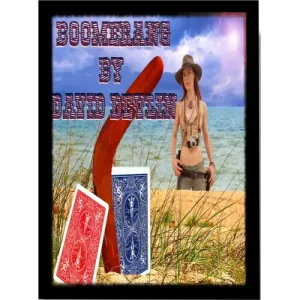 Boomerang by David Devlin