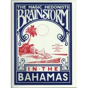 Brainstorm In The Bahamas by Adam Fleischer