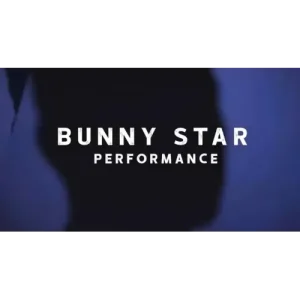 Bunny Star by Zee J. Yan