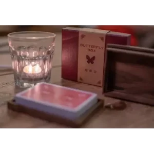 Butterfly Box by Kelvin Chow