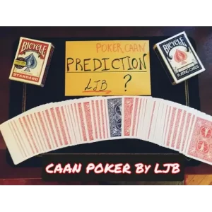 Caan Poker by Luca J Bellomo (Ljb)