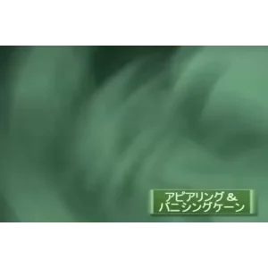 Canne Lecture by Yuji Yamamoto