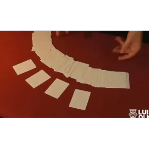 Canvas by Luis Olmedo