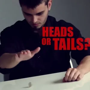 Capicua (Heads Or Tails?) by Thinking Paradox