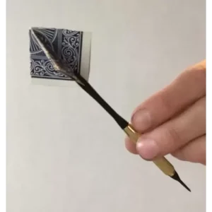 Card Flight by Ron Jaxon