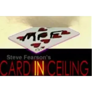 Card In Ceiling by Steve Fearson