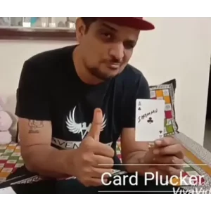 Card Plucker by Sachin.K.M