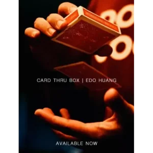 Card Thru Box by Edo Huang