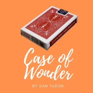 Case Of Wonder by Dan Tudor
