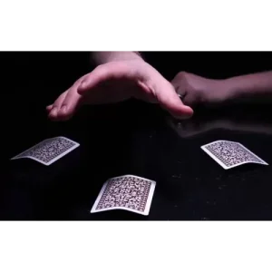Catch 33 Three Card Monte by Lee Asher