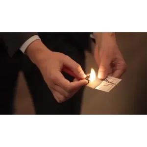 Celebrity Scorch by Mathew Knight And Stephen Macrow