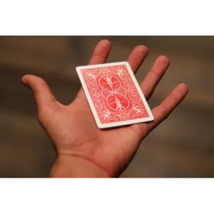 Chameleon by Blake Vogt