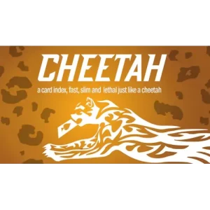 Cheetah by Berman Dabat & Michel & Vernet