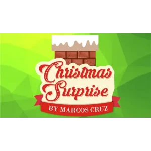 Christmas Surprise by Marcos Cruz
