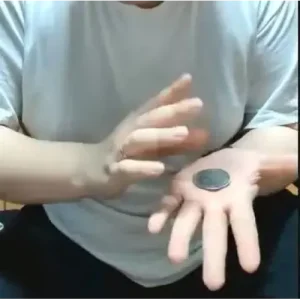 Coin Moves by Zee J. Yan