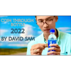 Coin Through Bottle 2022 by David Sam