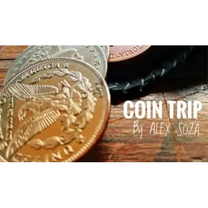Coin Trip by Alex Soza