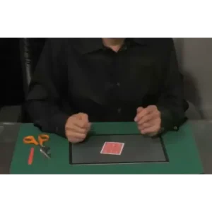 Coins Coupes by Quoc Tien Tran