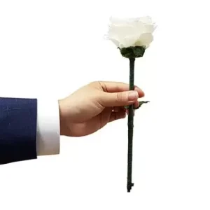 Color Changing Rose by Jl Magic