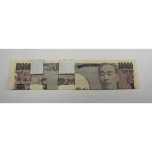 Complete Guide To The Impossible Foldings by Ralf Rudolph