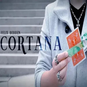 Cortana by Felix Bodden