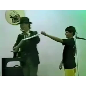 Cut And Restored Silk by Michel