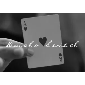 Daisho Switch by Miquel Roman