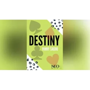 Destiny by Vinny Sagoo