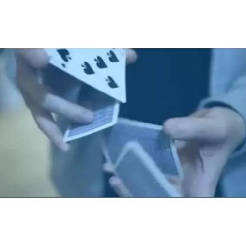 Di.Versity by Di.Cardistry