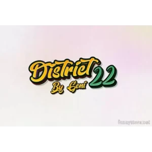 District 22 by Geni