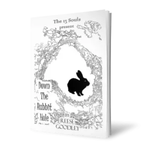 Down The Rabbit Hole by Reese Goodley