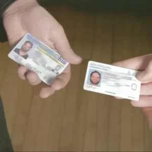 Drivers License Transpo (Dlt) by Nathan Kranzo