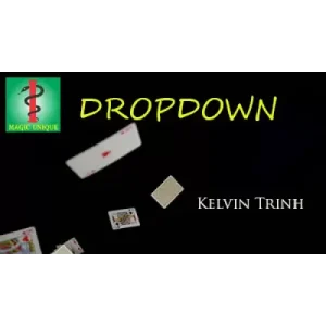 Dropdown by Kelvin Trinh & Magic Unique