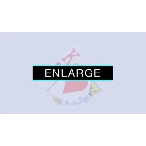 Enlarge by Sansminds Creative Lab