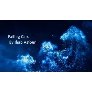 Falling Card by Ihab Asfour