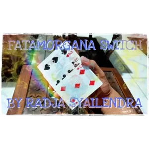 Fatamorgana Switch by Radja Syailendra