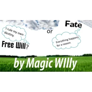 Fate Or Free Will by Magic Willy