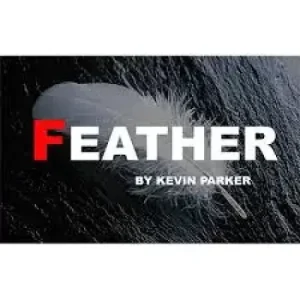 Feather by Kevin Parker