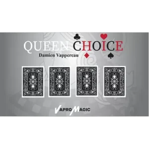 Find The Queen by Damien Vappereau