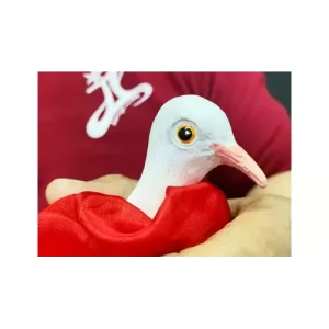 Finger Dove by JL Magic