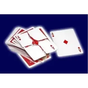 Flash Restauration by Alexander De Cova