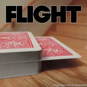 Flight by Adam Kaufman