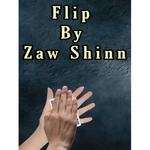 Flip by Zaw Shinn