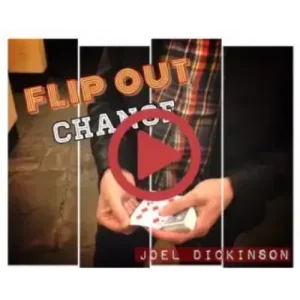 Flip Out Change by Joel Dickinson